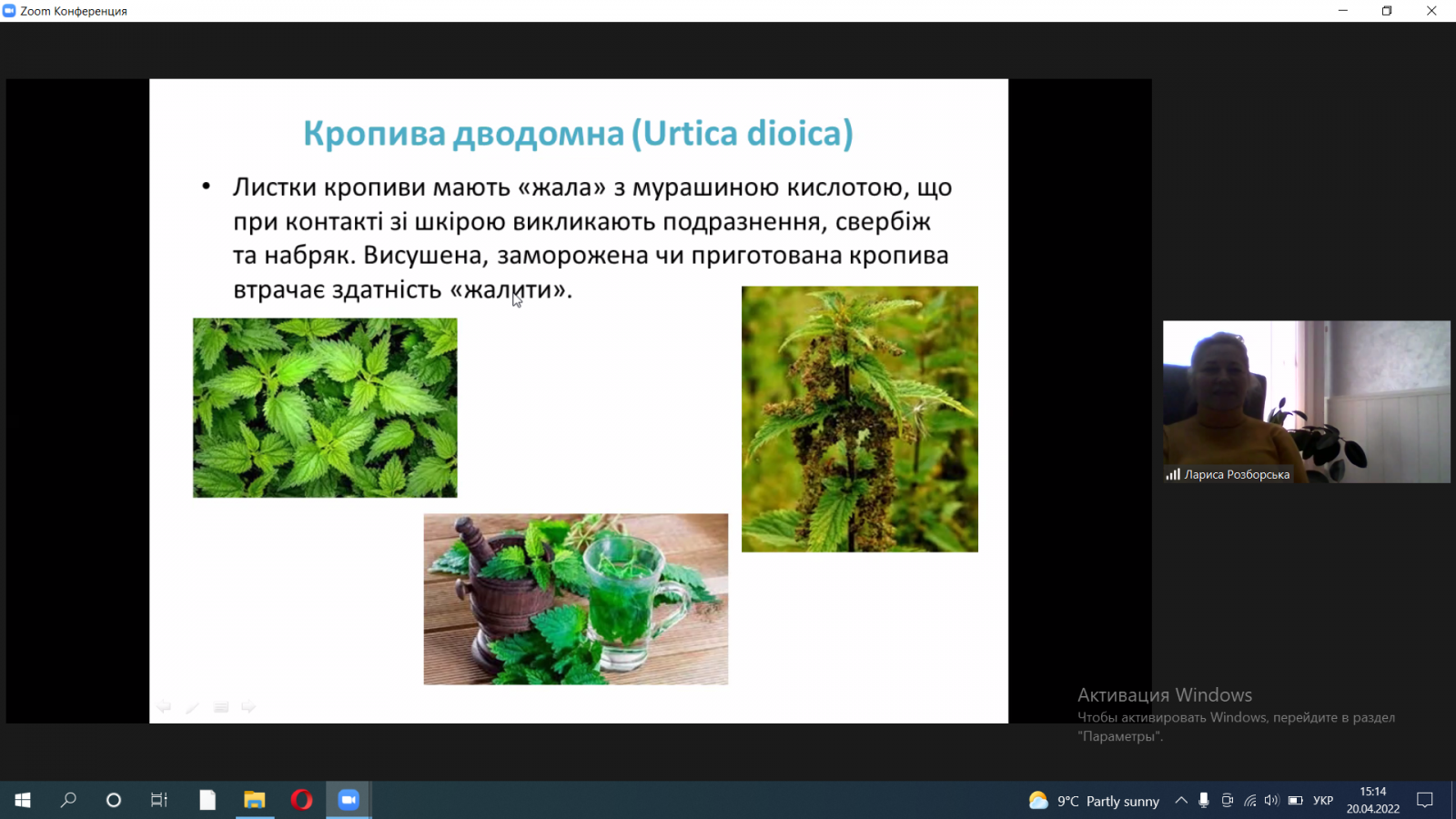 Закладання польових і вегетаційних дослідів