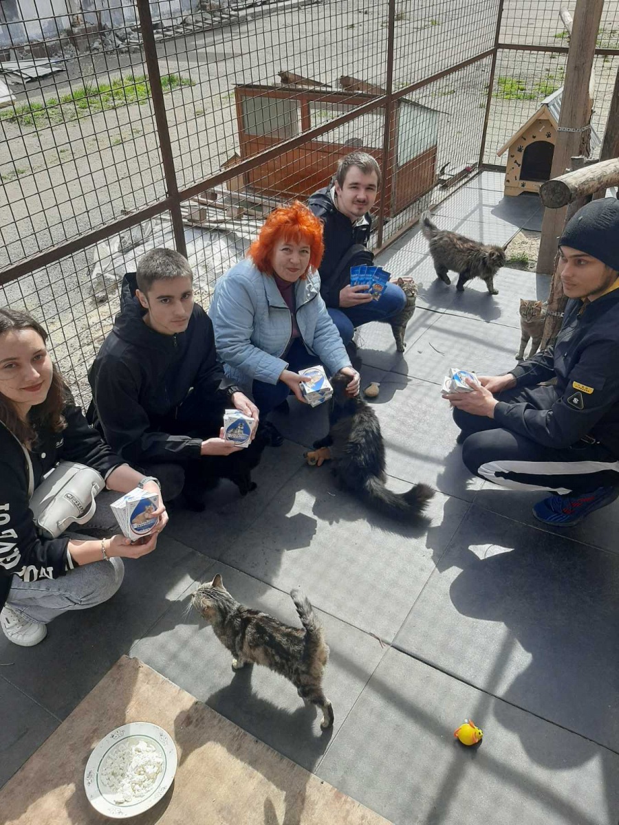 МІЖНАРОДНИЙ ДЕНЬ БЕЗПРИТУЛЬНИХ ТВАРИН