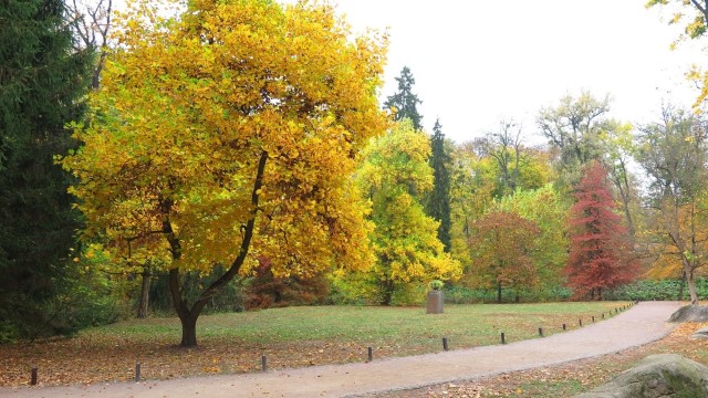 Стежками рідного краю